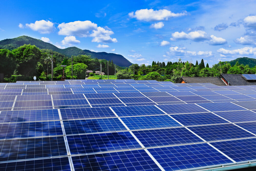 太陽光発電の雑草対策はどうする？夏の除草の手間を省く方法