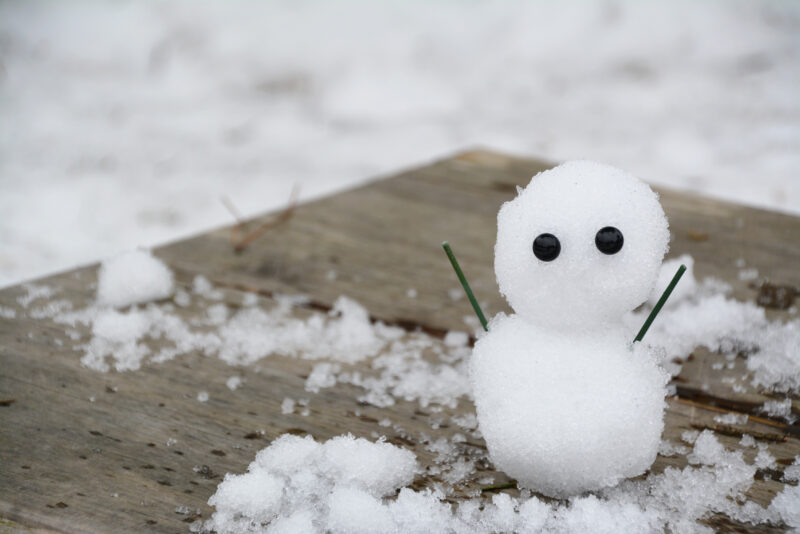 【郡山特化】冬の積雪は大丈夫？太陽光パネルの雪対策と実際の発電量を公開